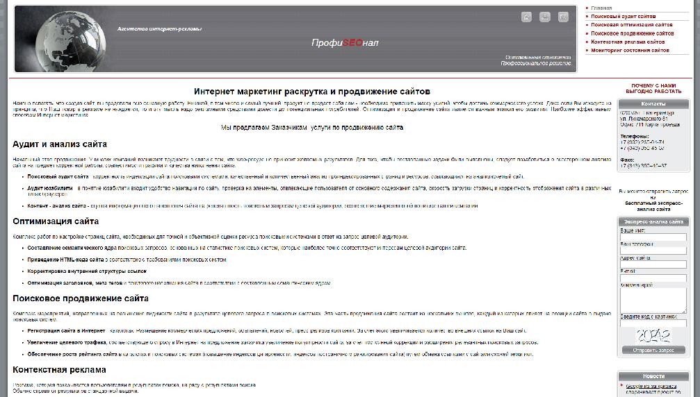 profiseo.ru